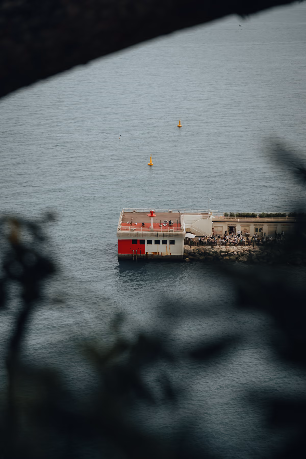 Harbor glimpsed through out-of-focus foliage